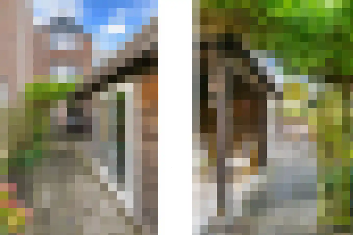 Bladmos 34 Nieuwerkerk aan den IJssel thumbnail 5