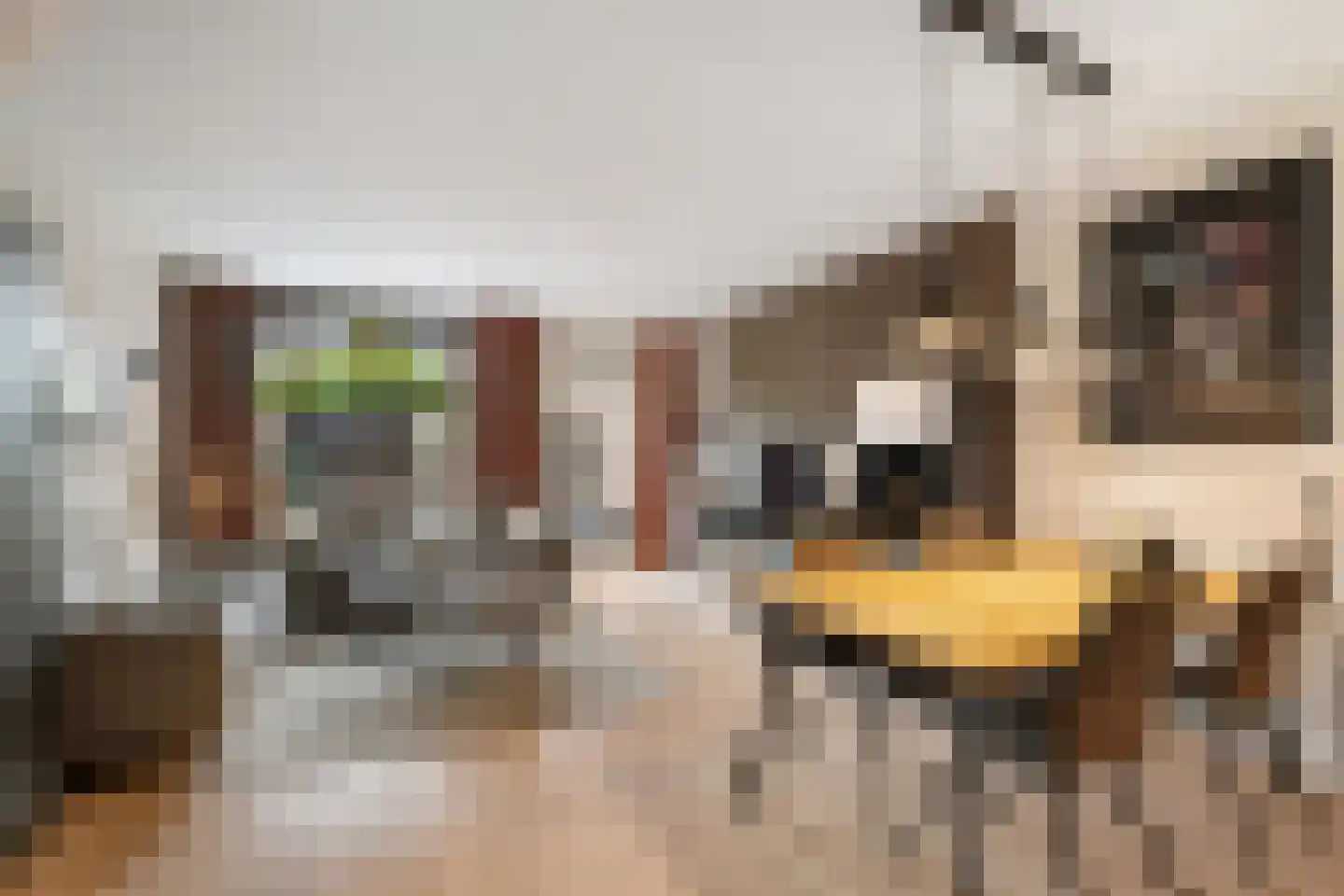 Bladmos 34 Nieuwerkerk aan den IJssel thumbnail 6
