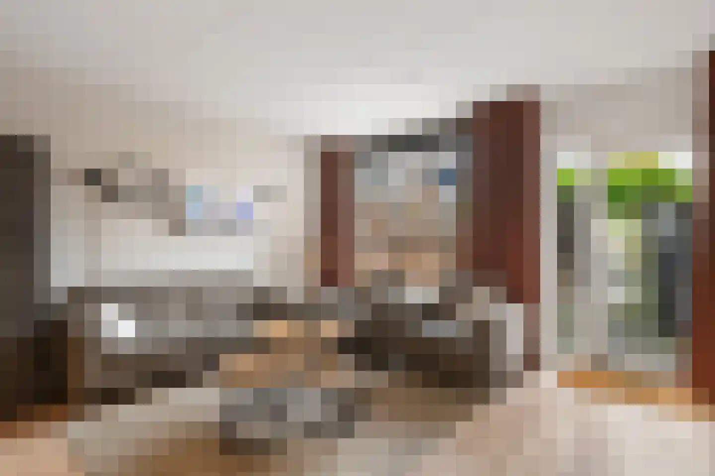 Bladmos 34 Nieuwerkerk aan den IJssel thumbnail 7