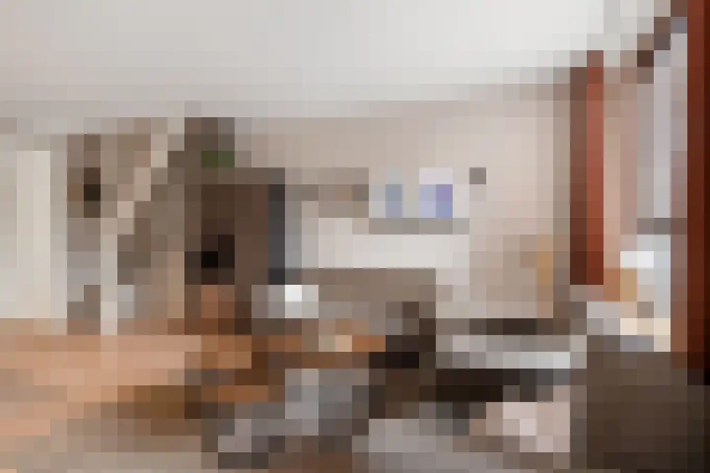 Bladmos 34 Nieuwerkerk aan den IJssel thumbnail 8