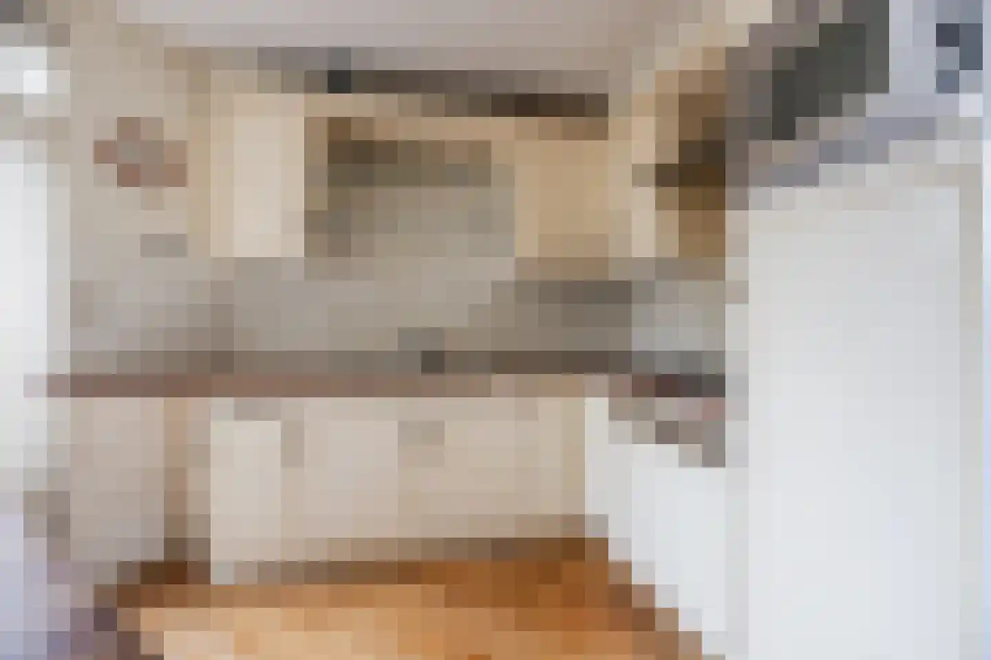 Bladmos 5 Bergschenhoek thumbnail 10