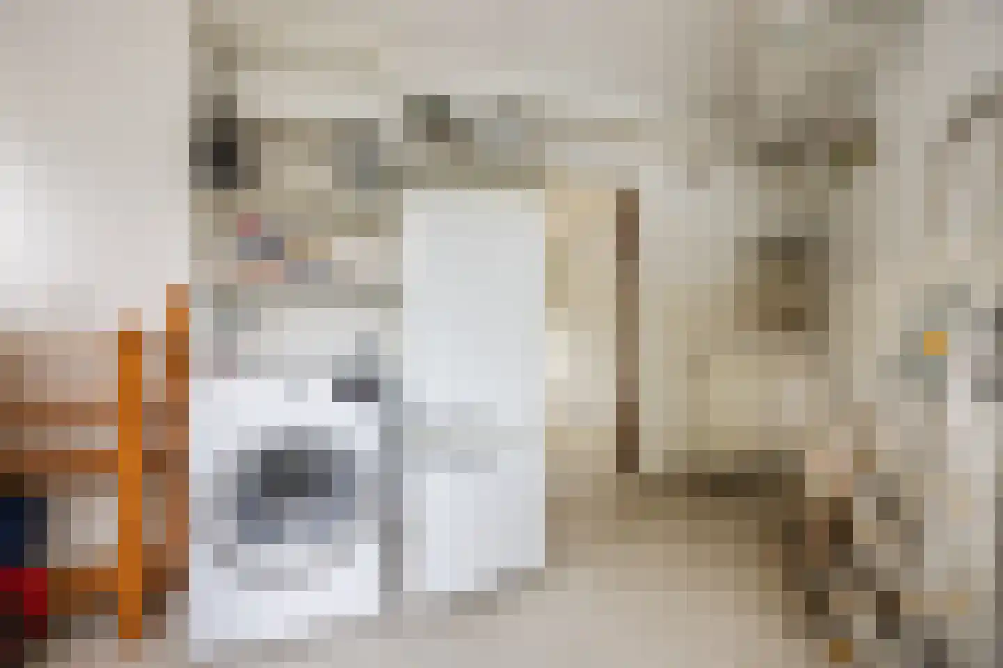 Bladmos 5 Bergschenhoek thumbnail 11