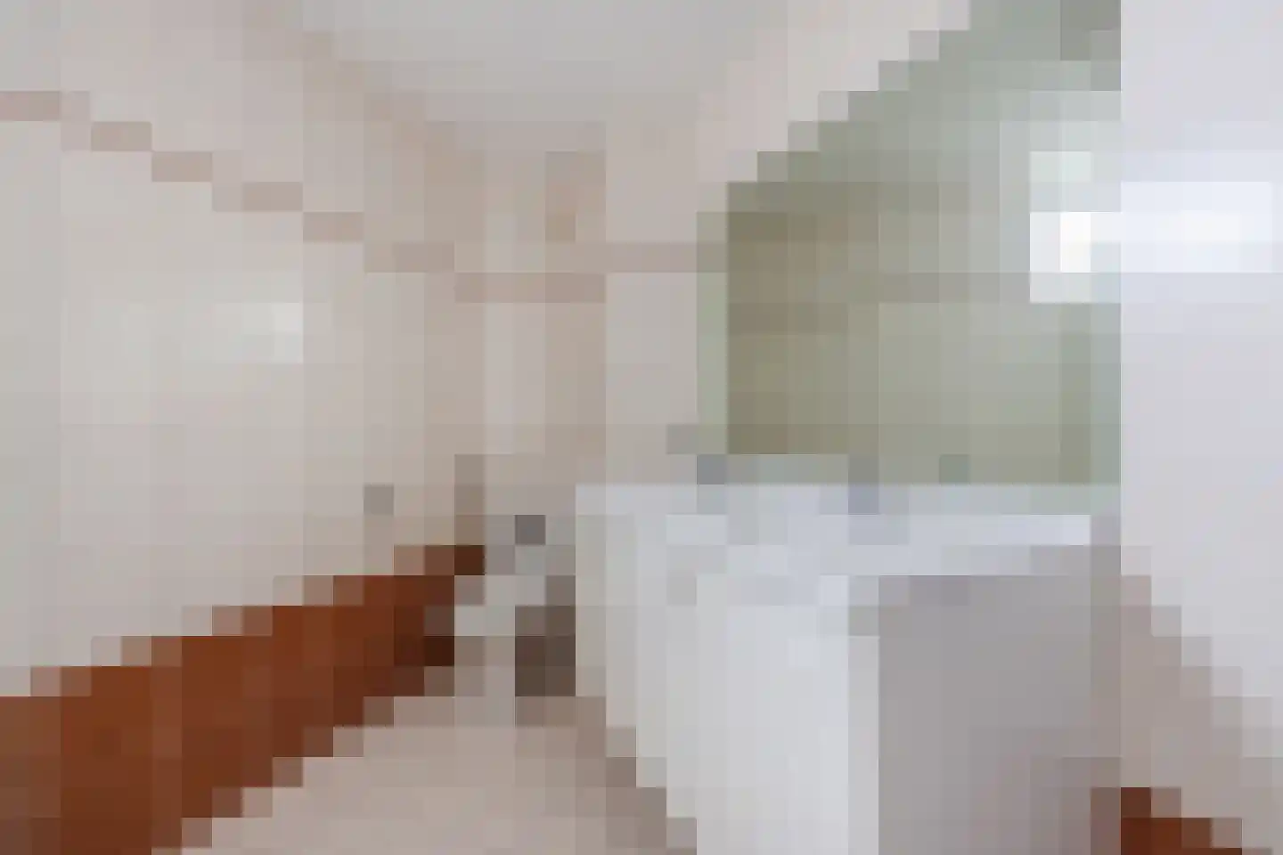 Bladmos 5 Bergschenhoek thumbnail 22