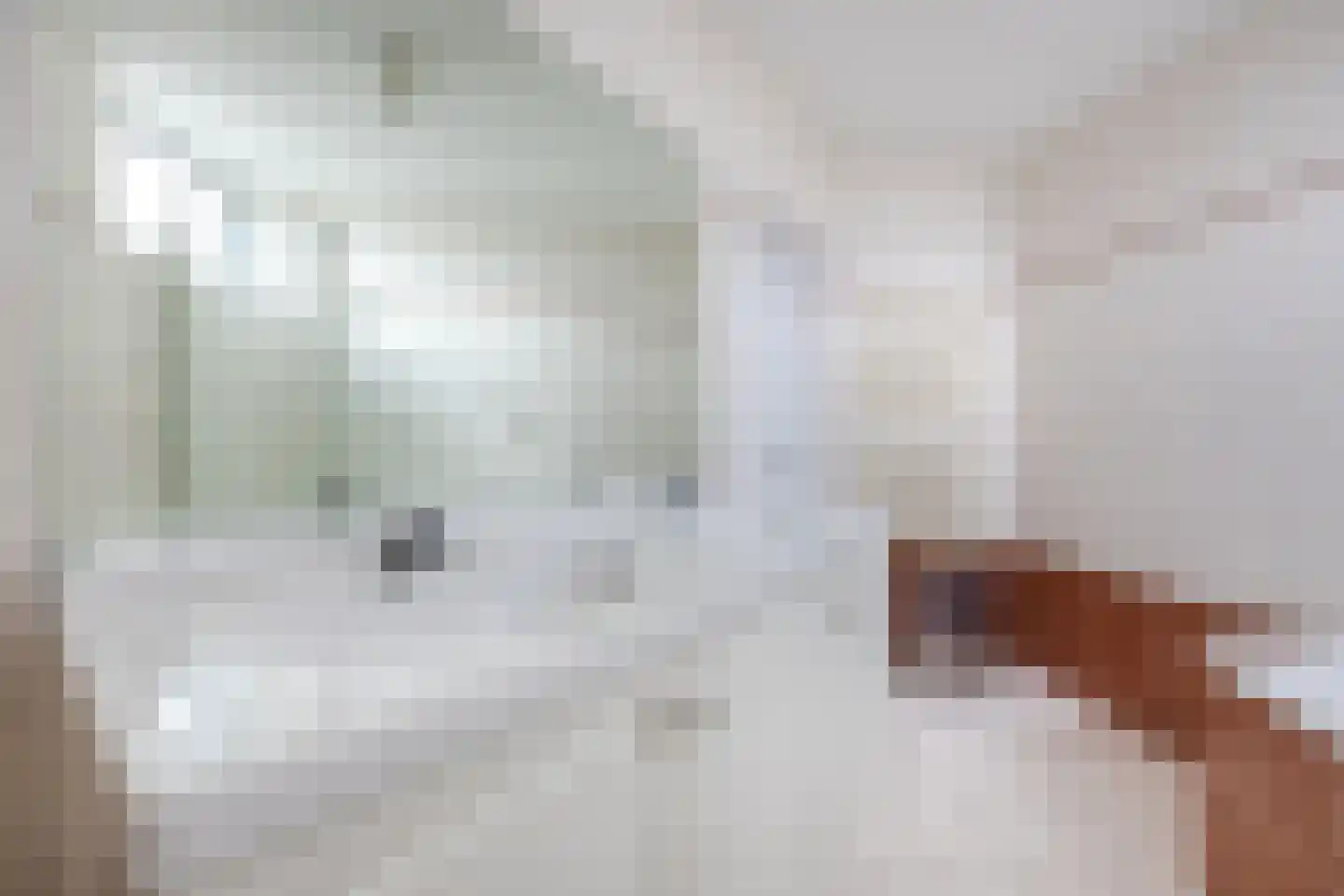 Bladmos 5 Bergschenhoek thumbnail 23