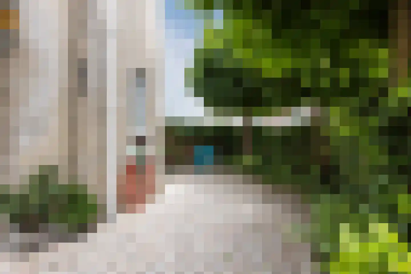 Bladmos 5 Bergschenhoek thumbnail 26