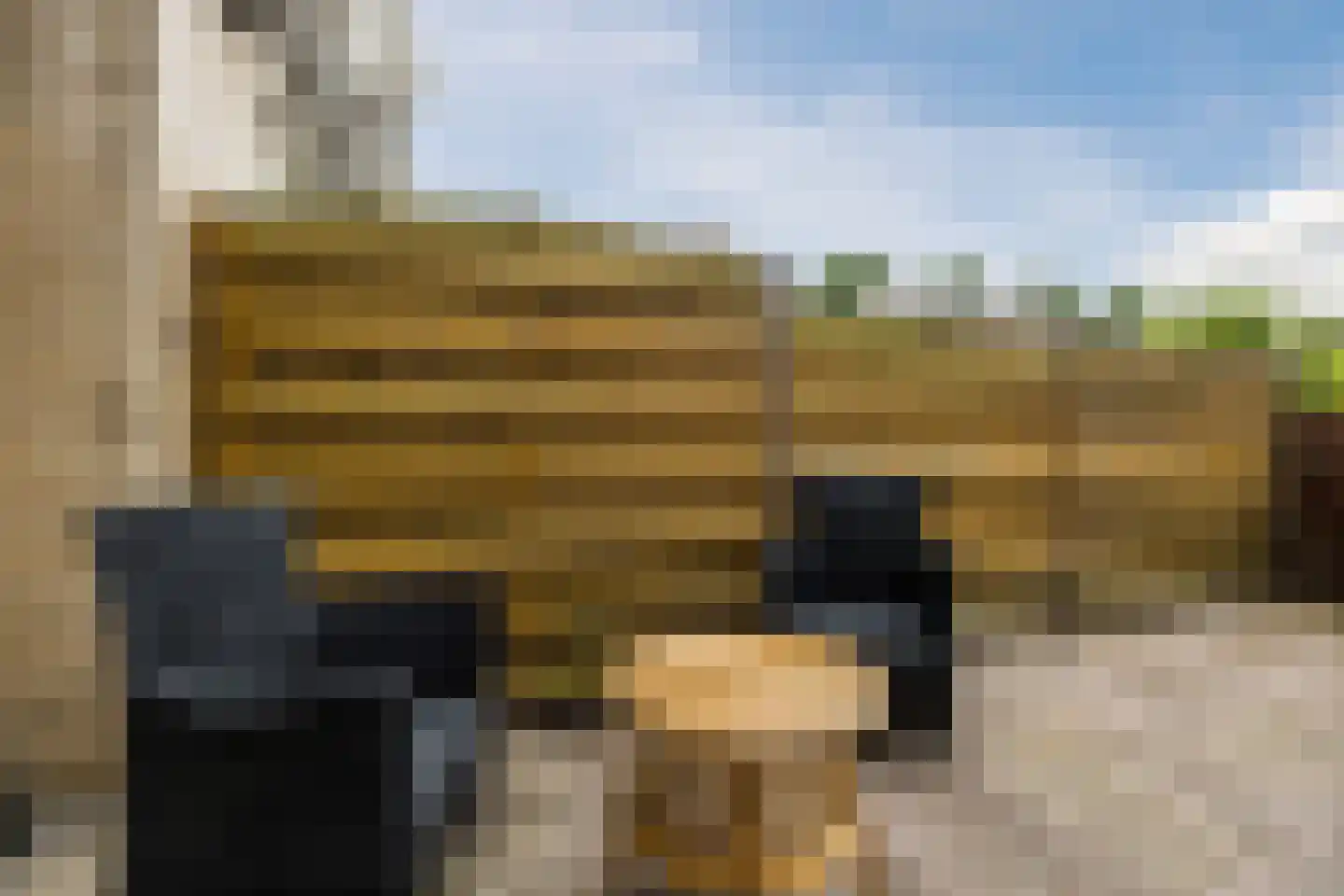 Bladmos 5 Bergschenhoek thumbnail 29