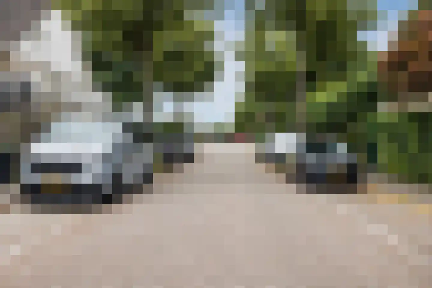 Bladmos 5 Bergschenhoek thumbnail 34