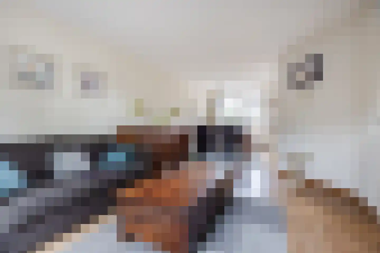 Bladmos 5 Bergschenhoek thumbnail 5