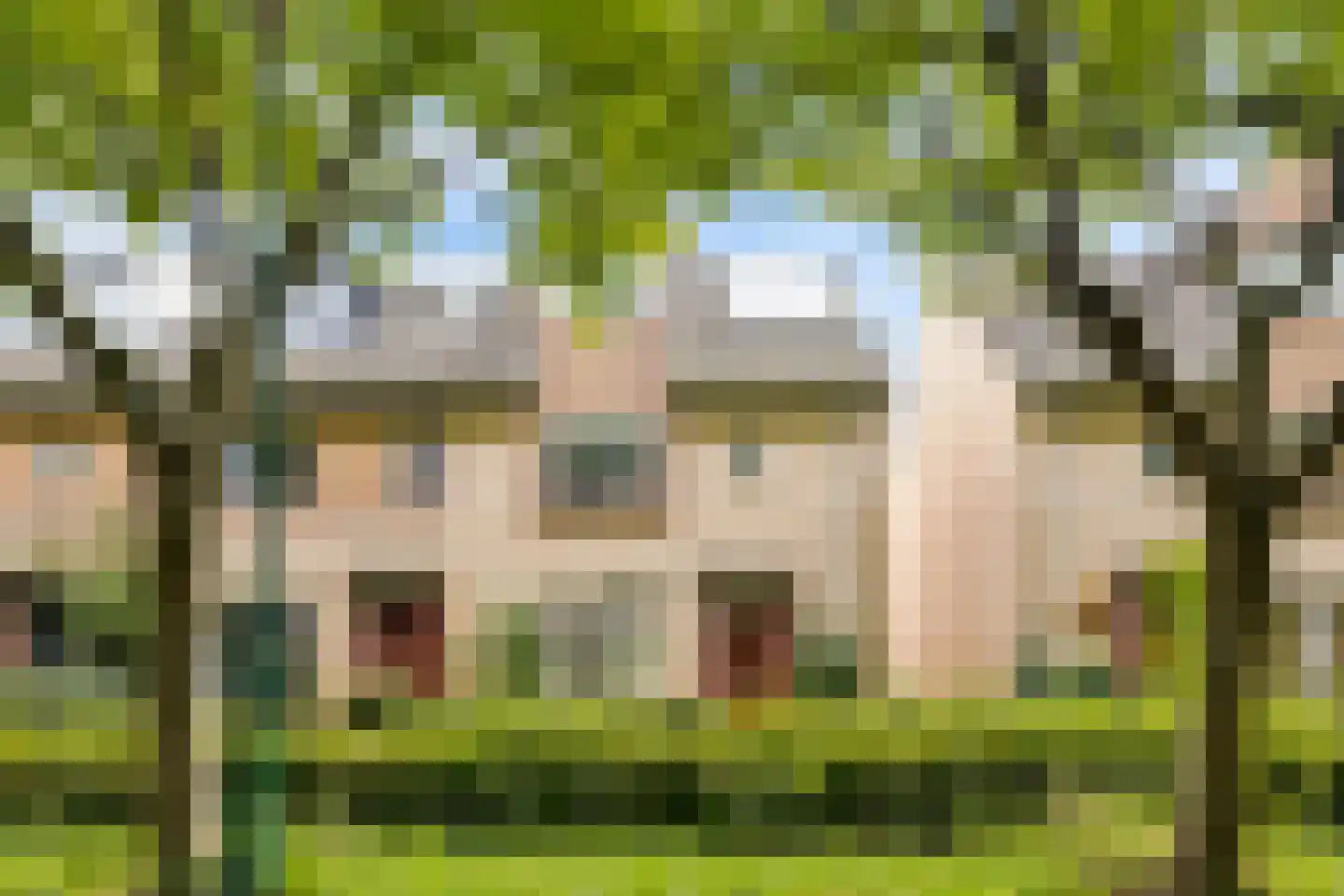 Bladmos 50 in Houten