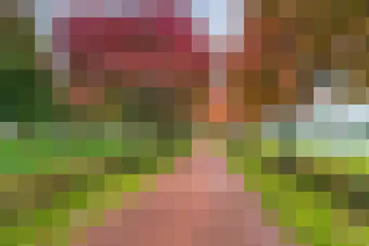 Bladmos 64 Houten foto 2