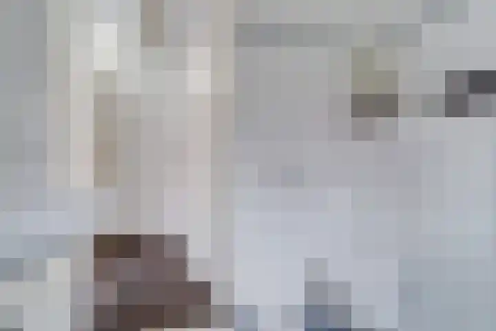 Bladmos 64 Houten thumbnail 30