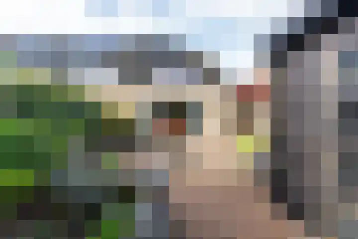 Bladmos 64 Houten thumbnail 34