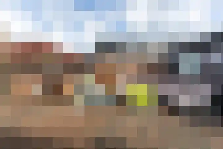 Bladmos 64 Houten thumbnail 35