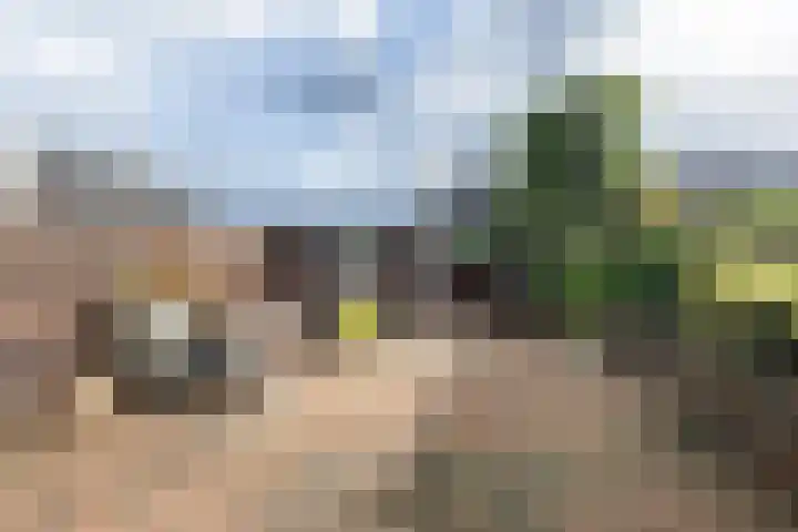 Bladmos 64 Houten thumbnail 36