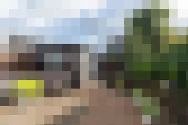 Bladmos 64 Houten thumbnail 37