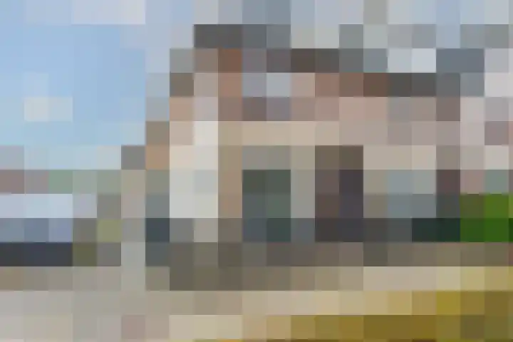 Bladmos 64 Houten thumbnail 38
