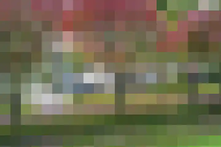 Bladmos 64 Houten thumbnail 39