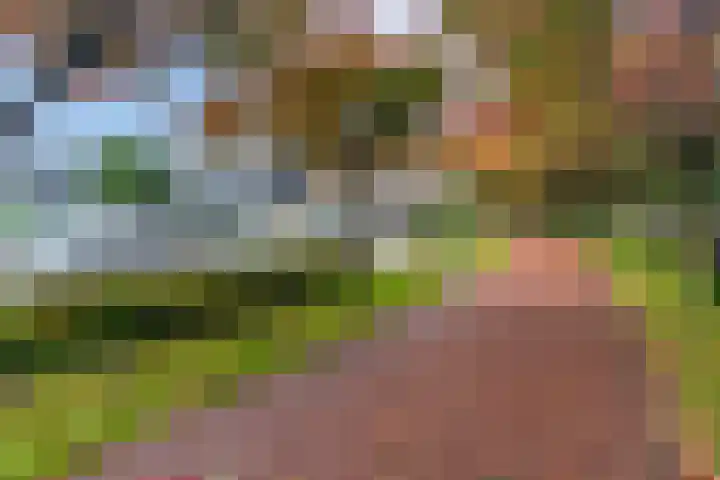 Bladmos 64 Houten thumbnail 41