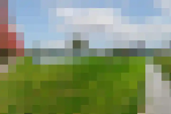Bladmos 64 Houten thumbnail 42