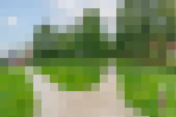 Bladmos 64 Houten thumbnail 43