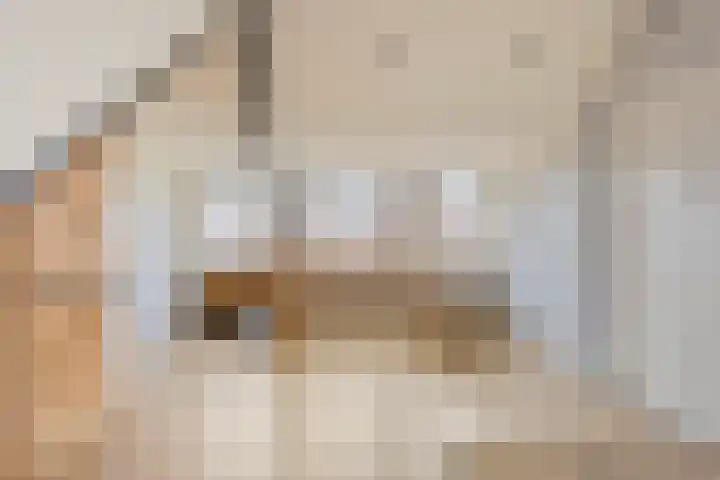 Bladmoshof 20 Purmerend thumbnail 27