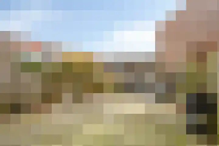 Bladmoshof 20 Purmerend thumbnail 33