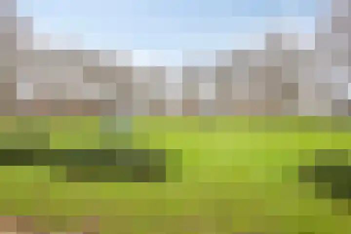 Bladmoshof 20 Purmerend thumbnail 38