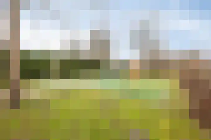 Bladmoshof 20 Purmerend thumbnail 39