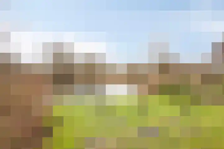 Bladmoshof 20 Purmerend thumbnail 40