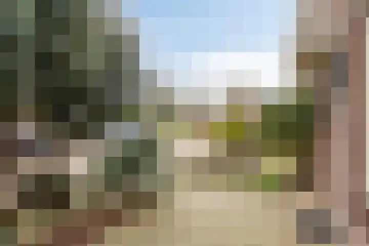 Bladmoshof 20 Purmerend thumbnail 7