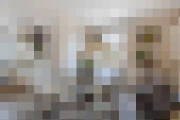 Bladriet 1 Werkendam thumbnail 18