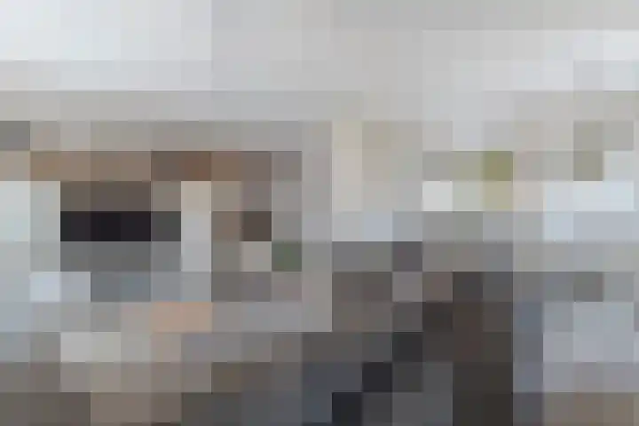 Bladriet 1 Werkendam thumbnail 19