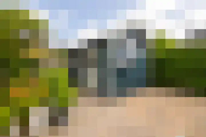 Bladriet 1 Werkendam thumbnail 38