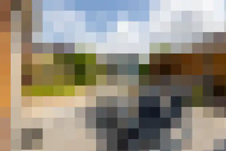 Bladriet 1 Werkendam thumbnail 41
