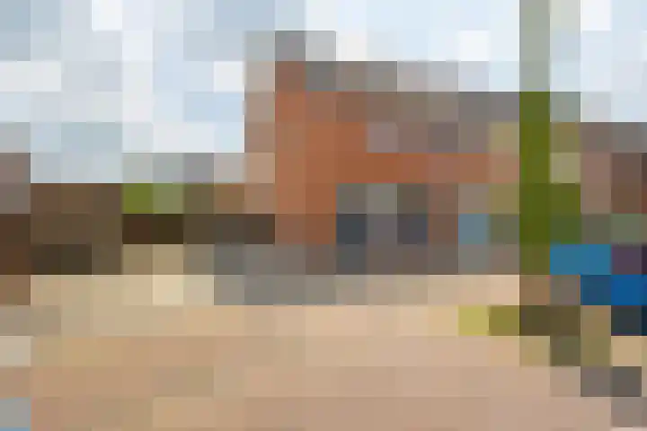 Bladriet 1 Werkendam thumbnail 5