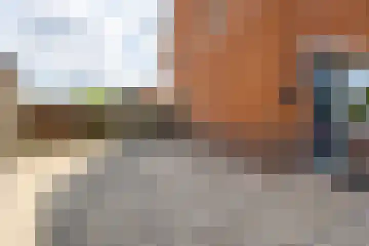 Bladriet 1 Werkendam thumbnail 7