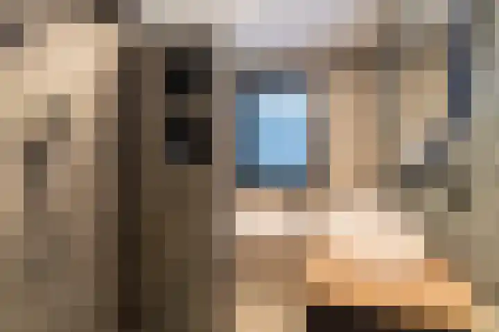 Bladriet 11 Werkendam thumbnail 20