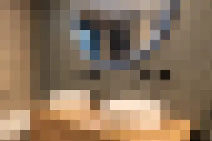 Bladriet 11 Werkendam thumbnail 22