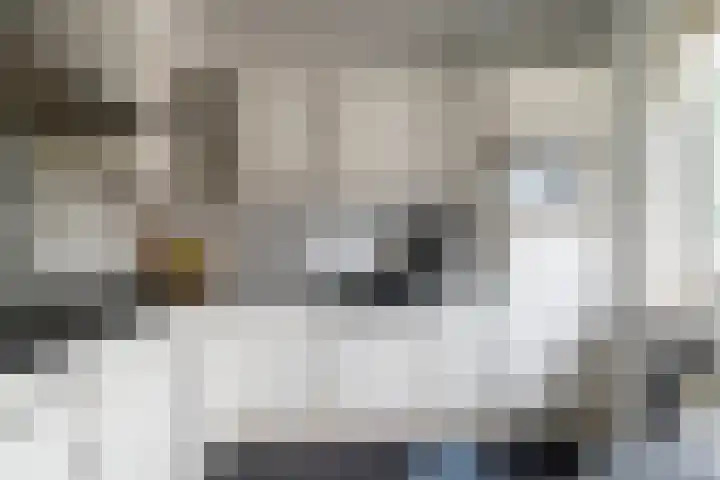 Bladriet 11 Werkendam thumbnail 9