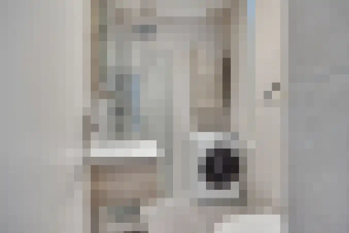 Bladstraat 15 Utrecht thumbnail 6