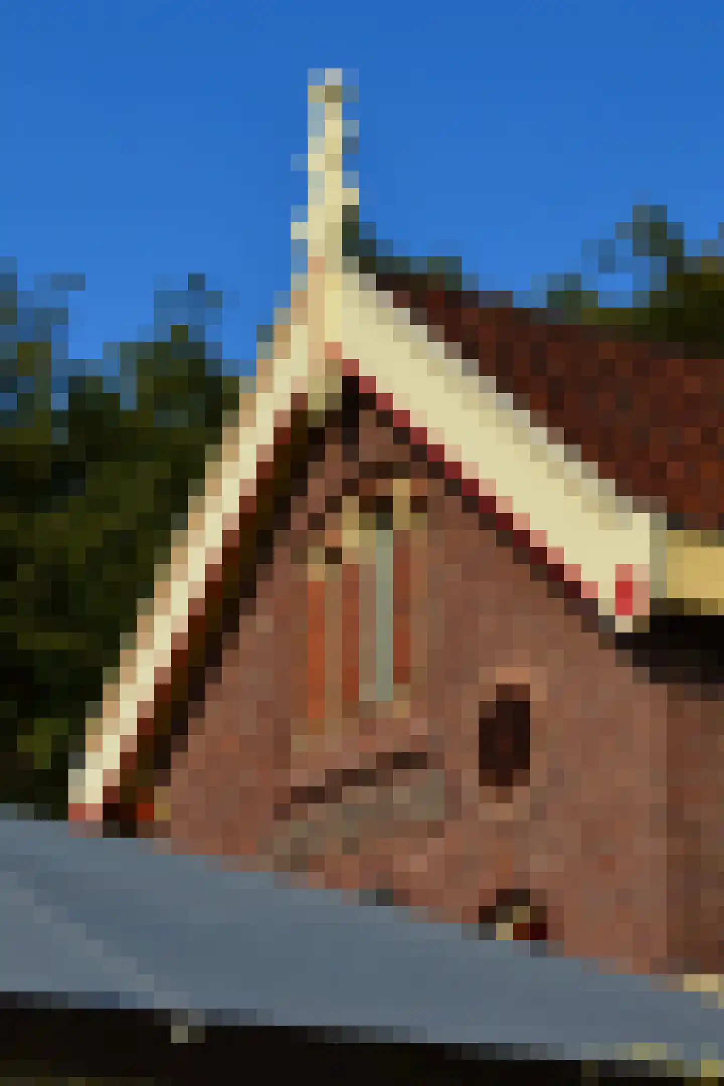 Bladstraat 2 Utrecht thumbnail 33