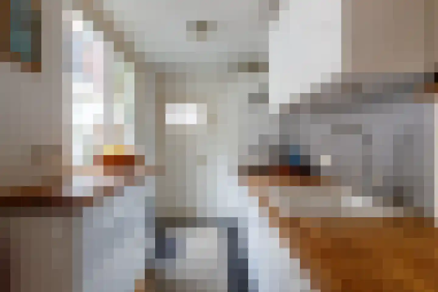 Bladstraat 2 Utrecht thumbnail 9
