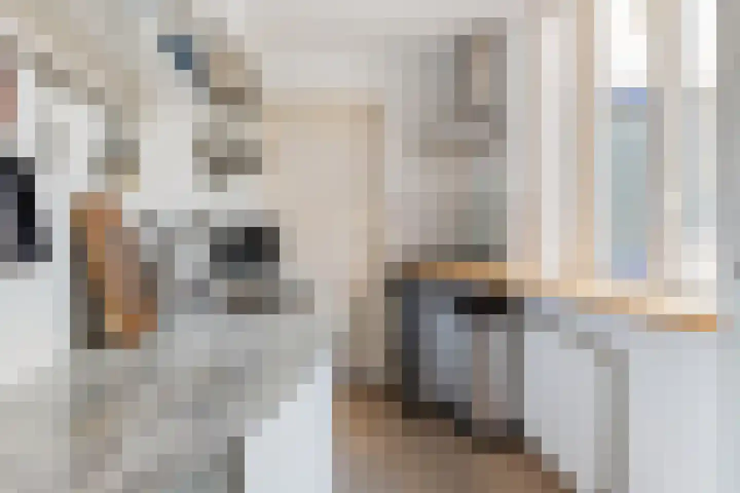 Bladstraat 25 Utrecht thumbnail 11