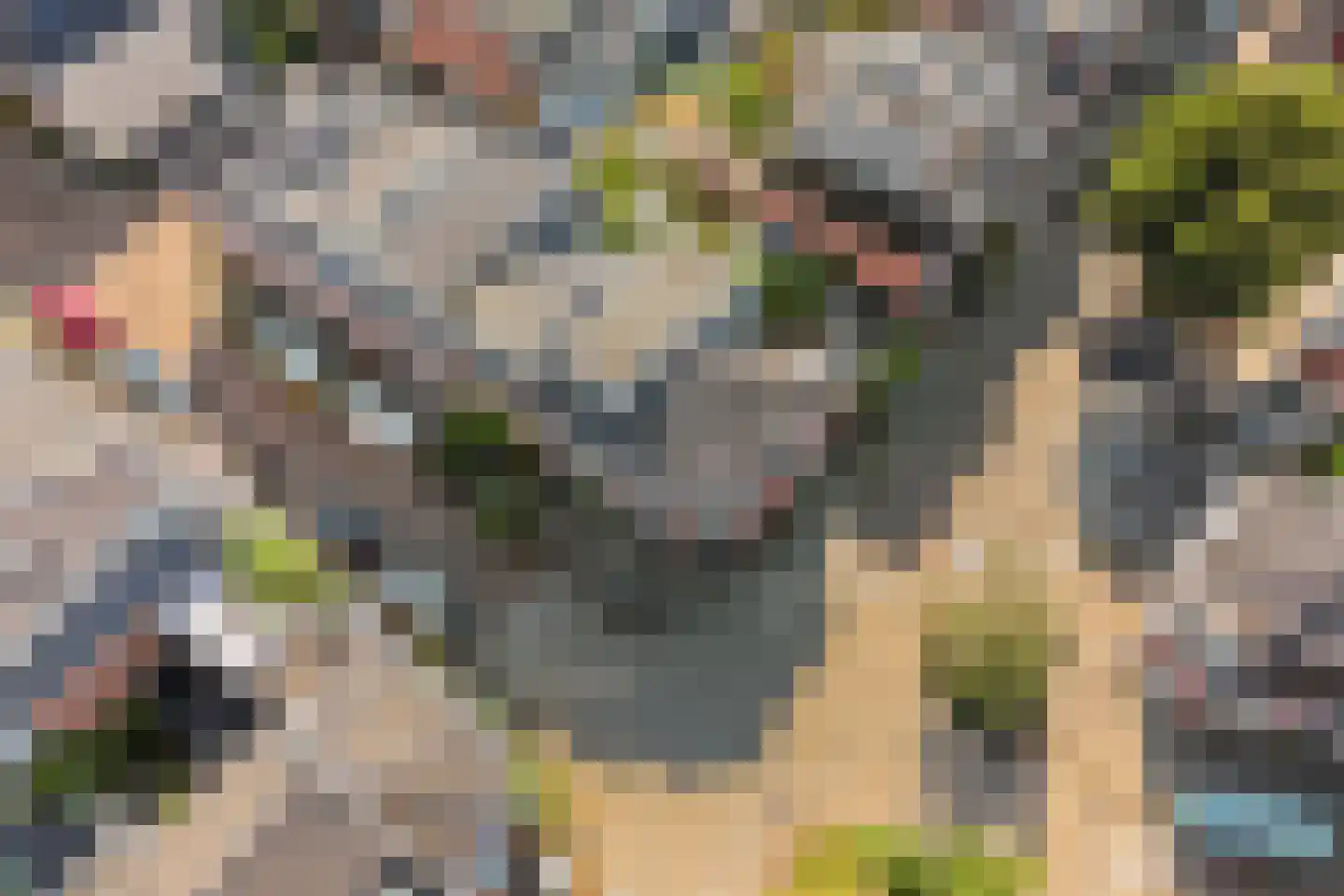Bladstraat 25 Utrecht thumbnail 31