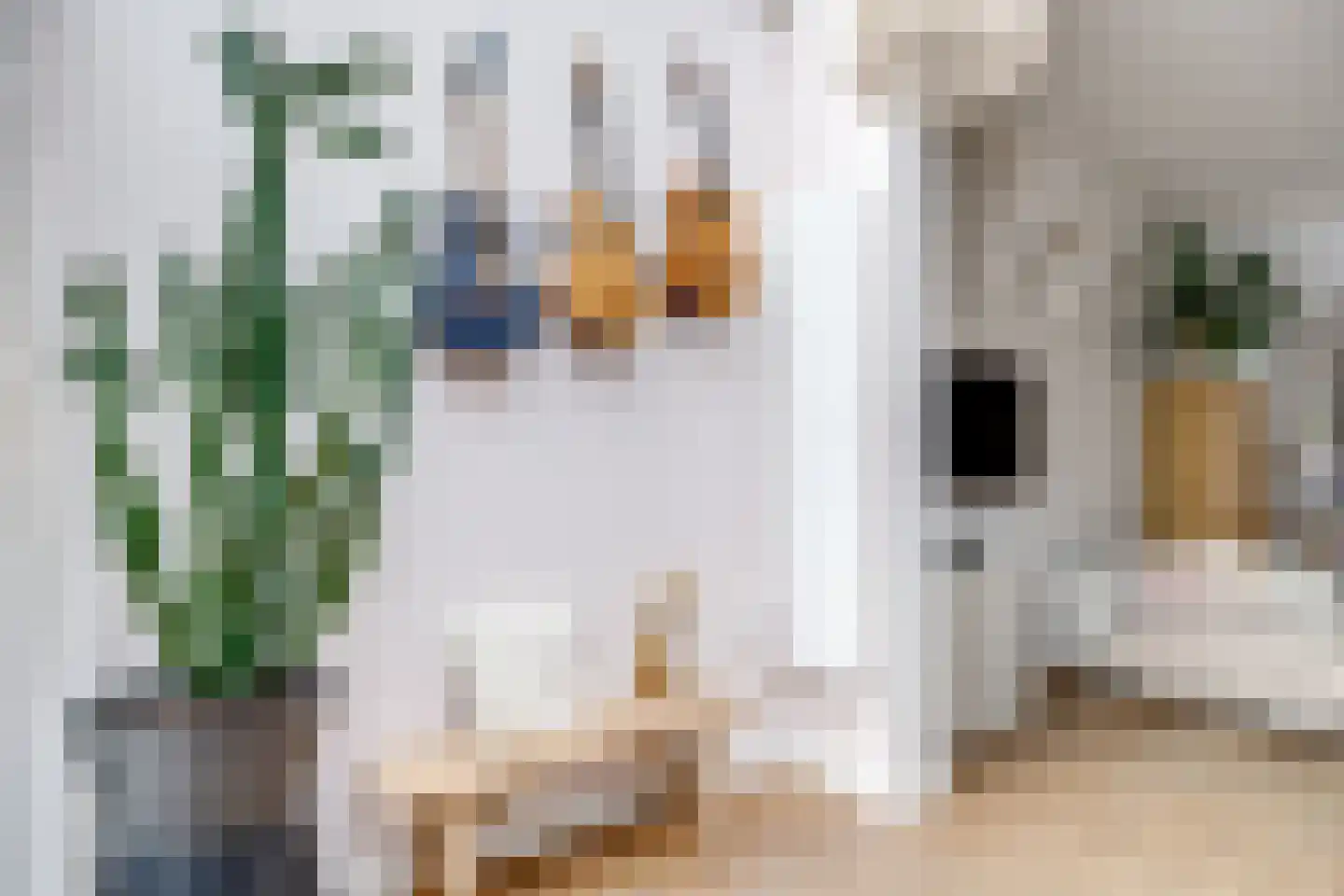 Bladstraat 7 Utrecht thumbnail 23