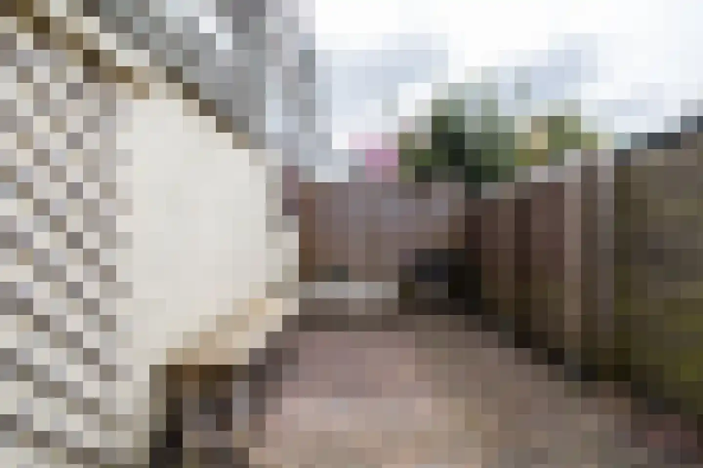 Bladstraat 7 Utrecht thumbnail 36