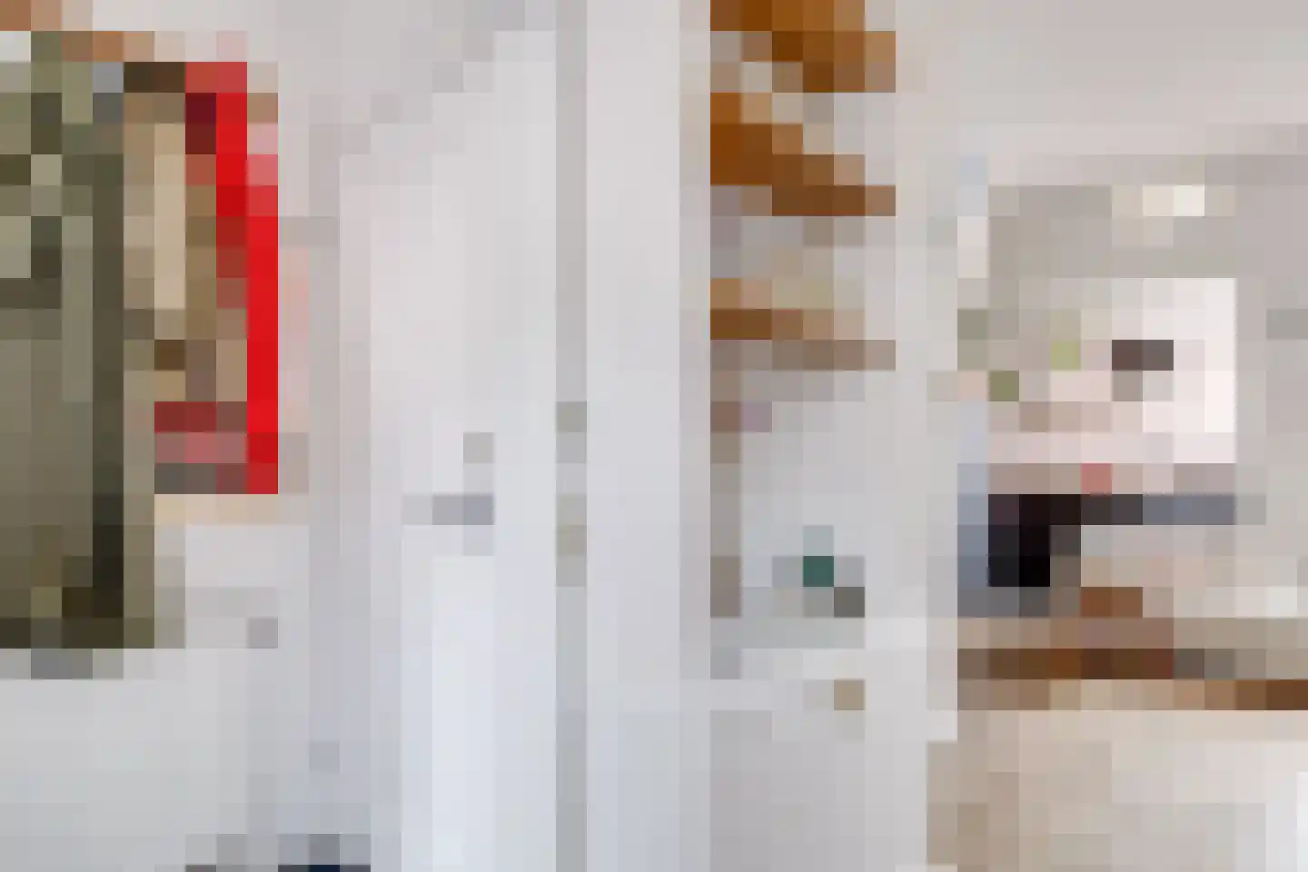 Bladstraat 7 Utrecht thumbnail 38