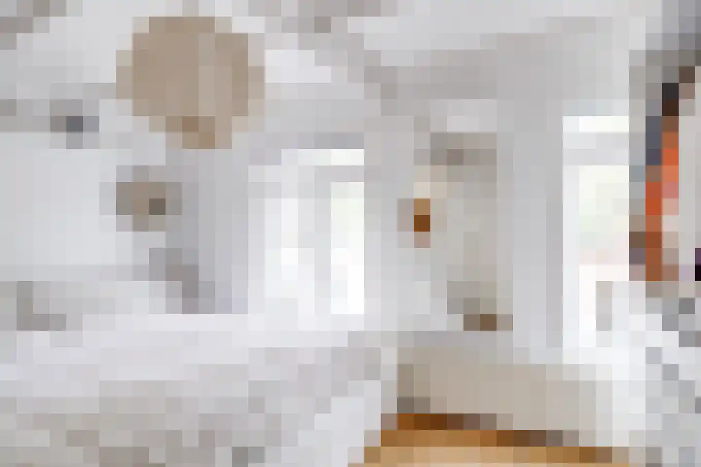 Bladstraat 7 Utrecht thumbnail 41