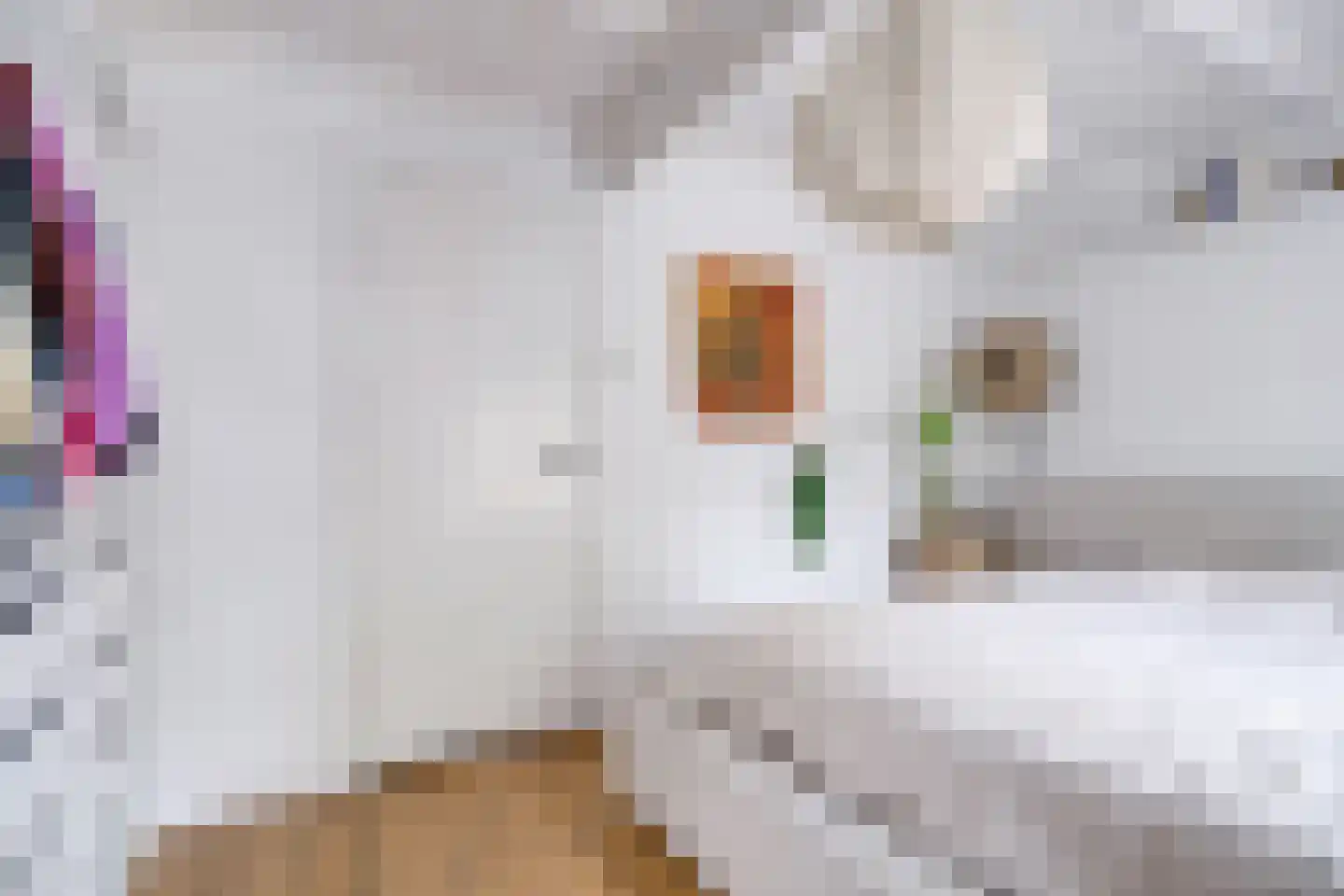 Bladstraat 7 Utrecht thumbnail 43