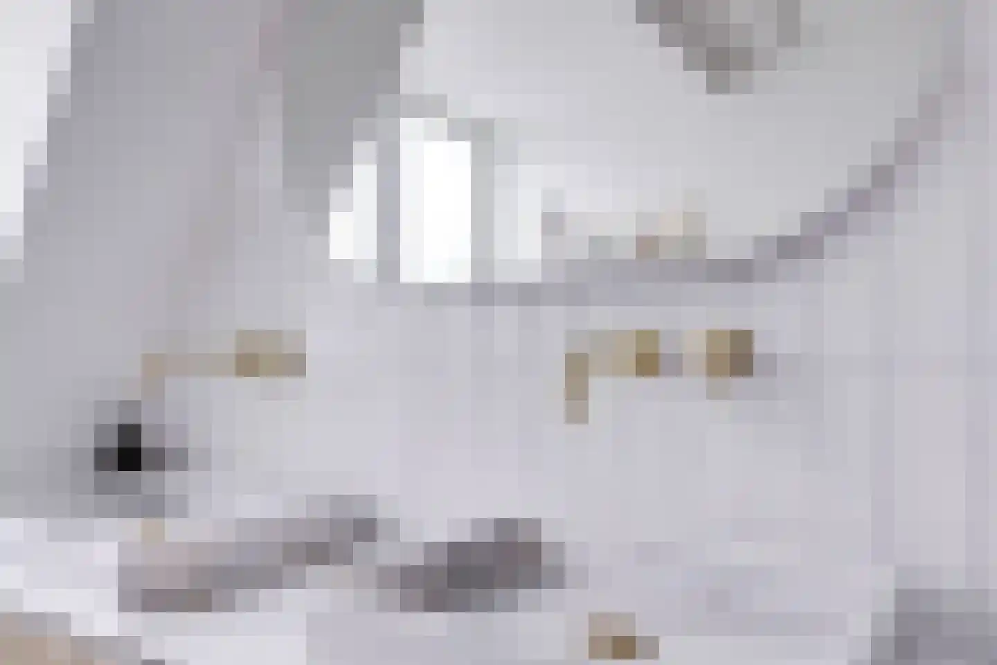 Bladstraat 7 Utrecht thumbnail 48